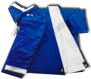 REVERSIBLE JUDO